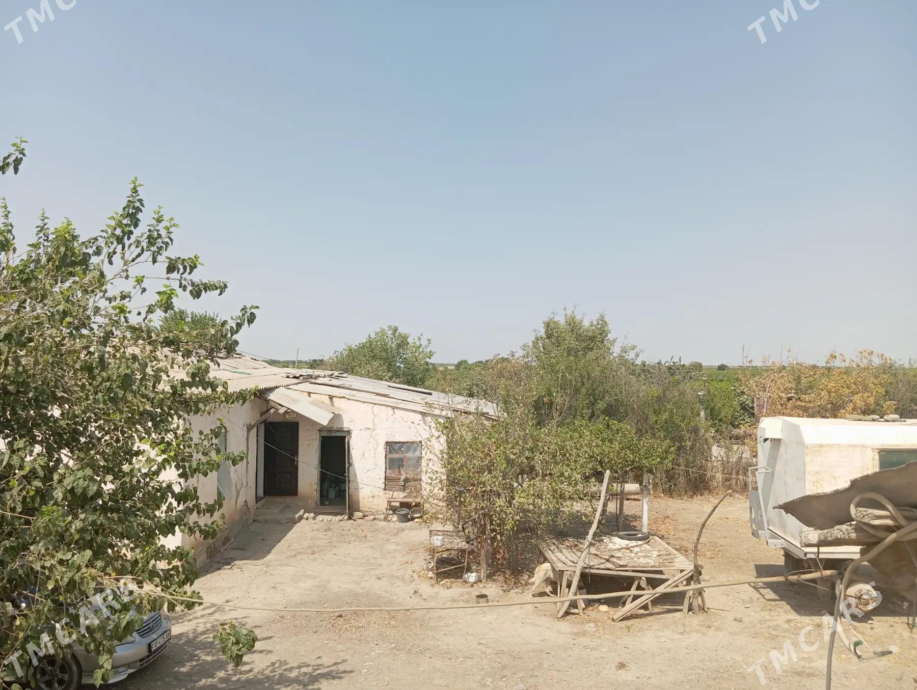 gawers 1gektar satlyk - Aşgabat - img 7