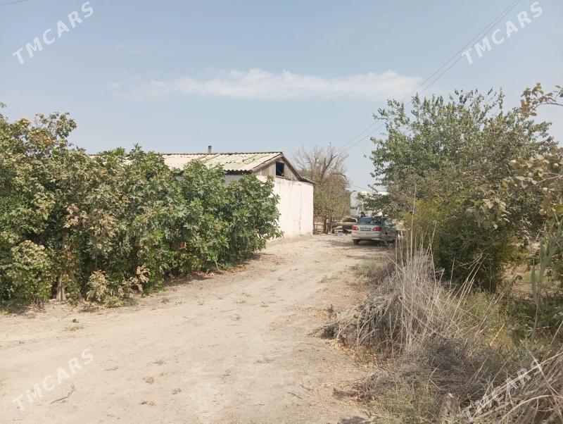 gawers 1gektar satlyk - Aşgabat - img 4