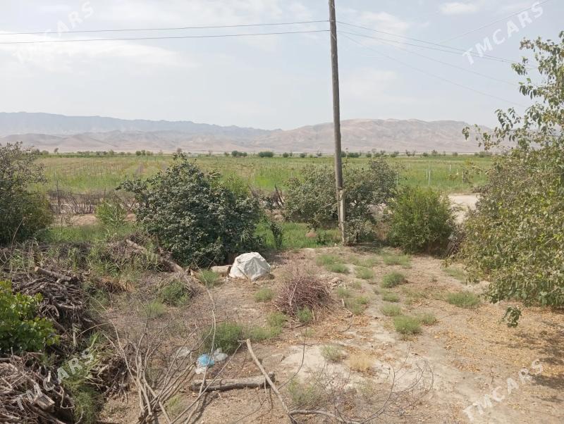 gawers 1gektar satlyk - Aşgabat - img 10
