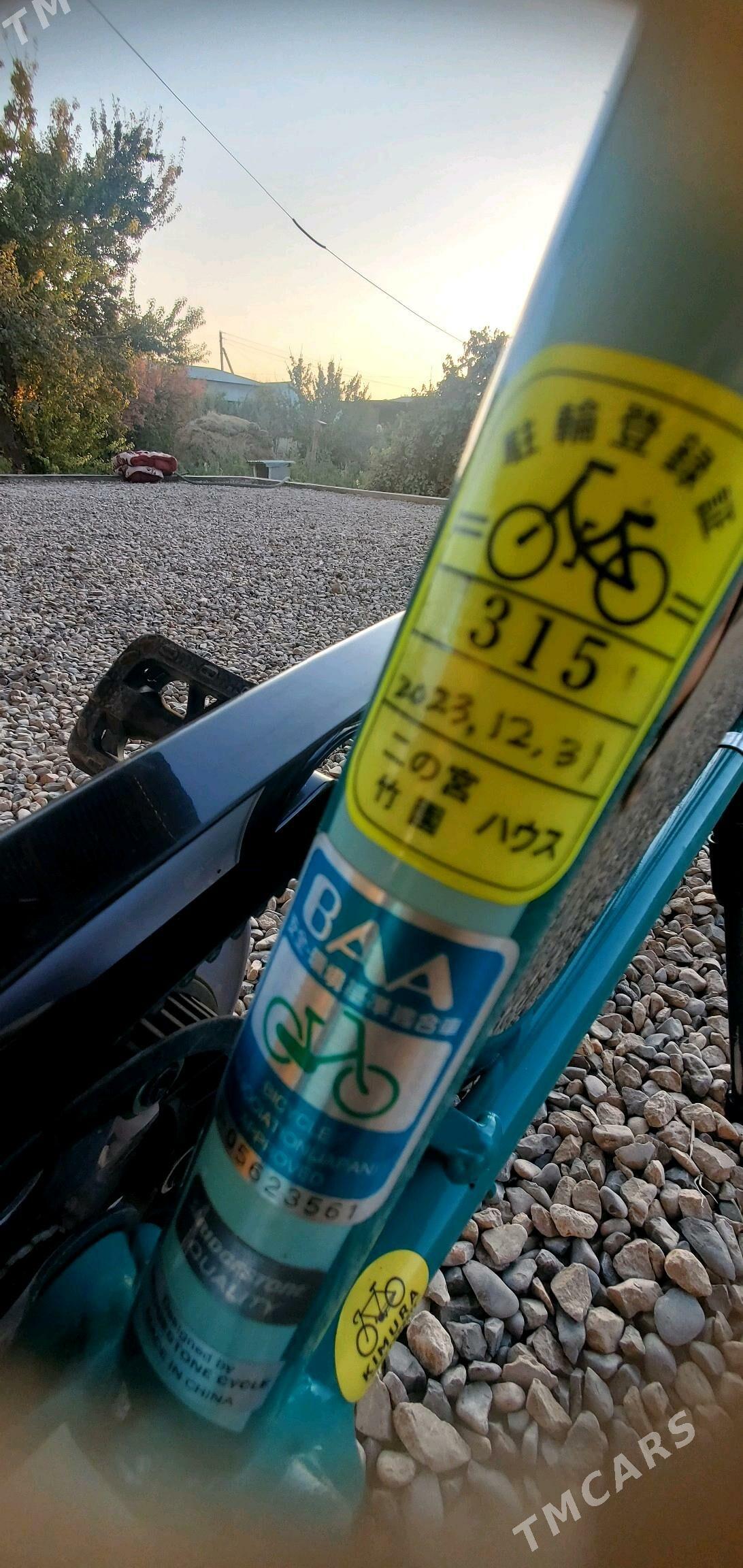 28 Bridgestone - Sakarçäge - img 6