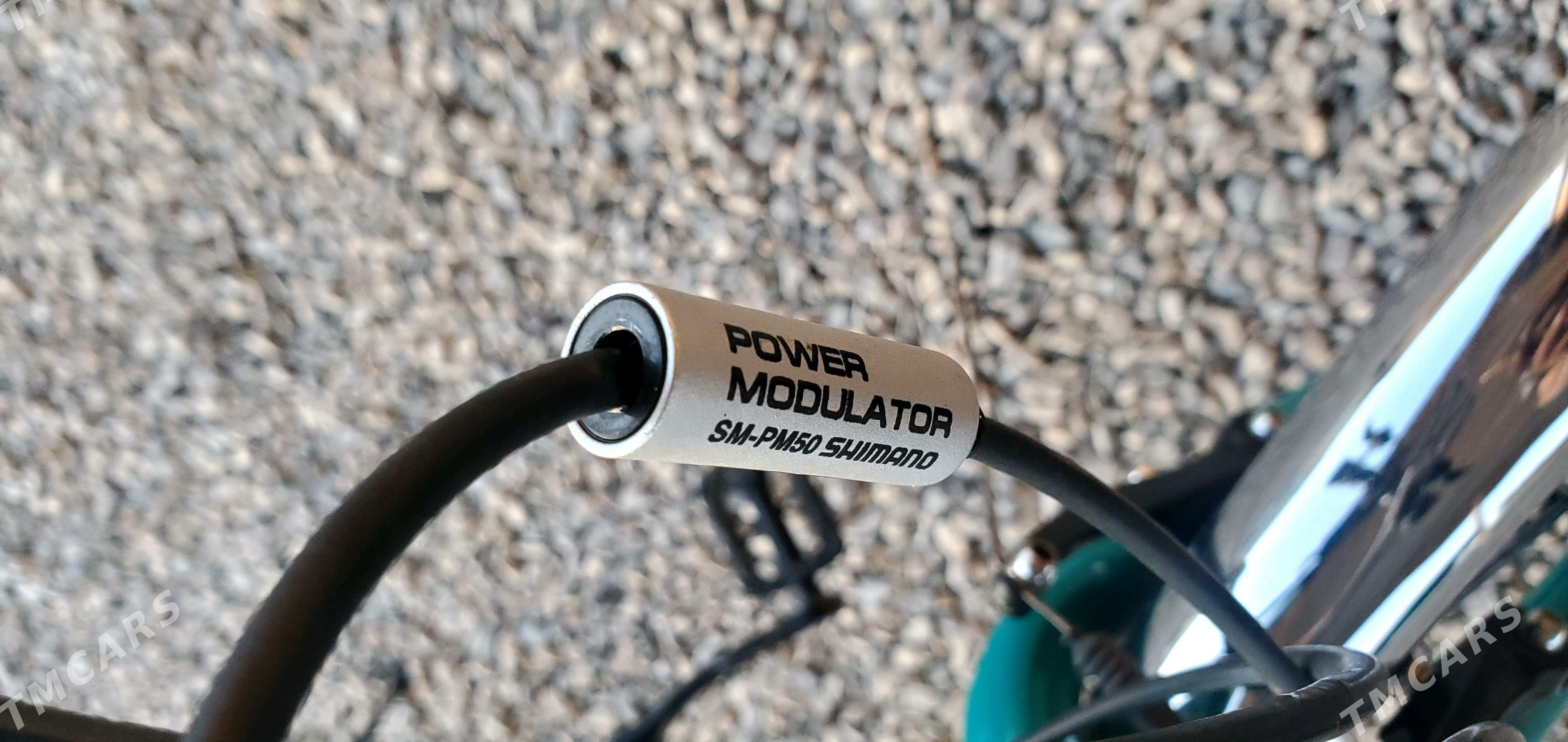 28 Bridgestone - Sakarçäge - img 10