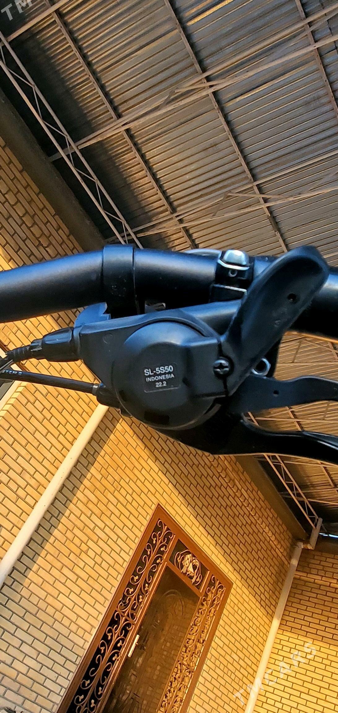 28 Bridgestone - Sakarçäge - img 7