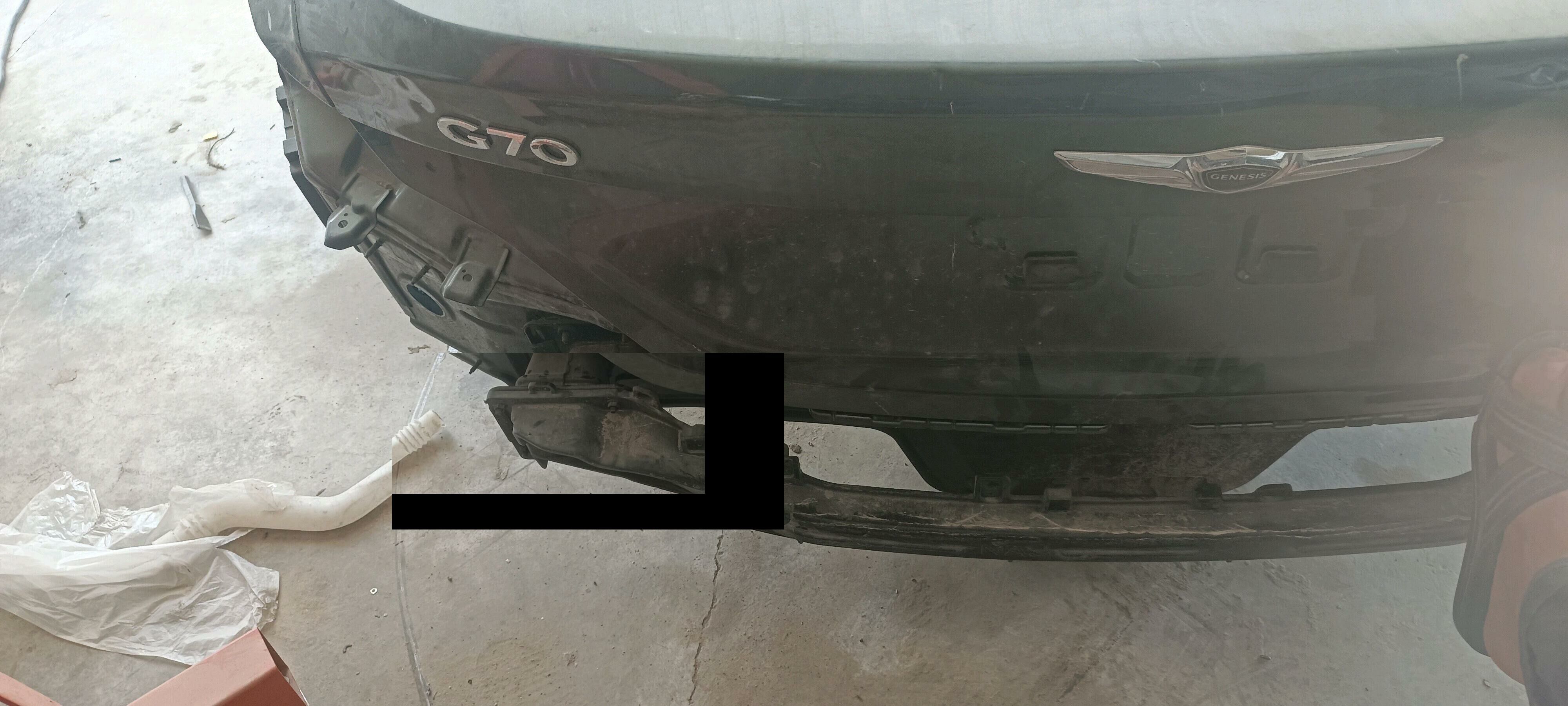 Genesis 10 000 TMT - Ak bugdaý etraby - img 3