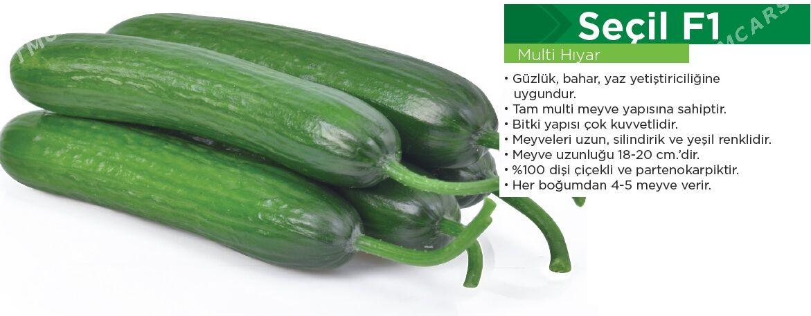 Hyýar tohum görnüşleri - Ашхабад - img 1