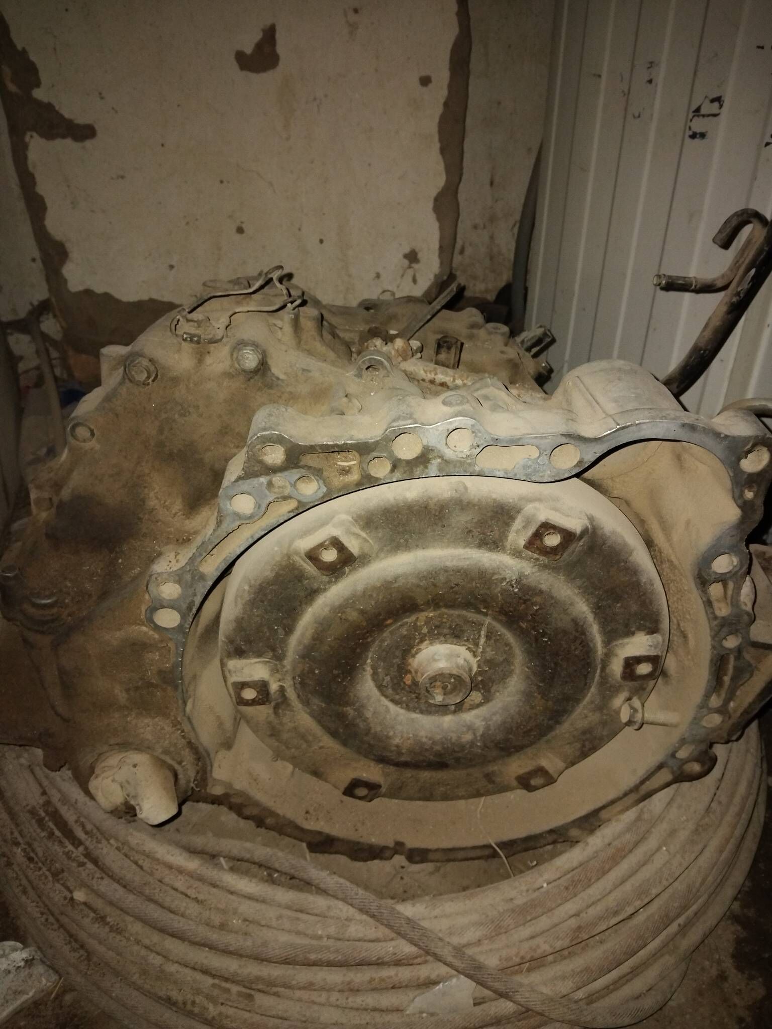 5 sykors karopka 7 000 TMT - Çärjew - img 1