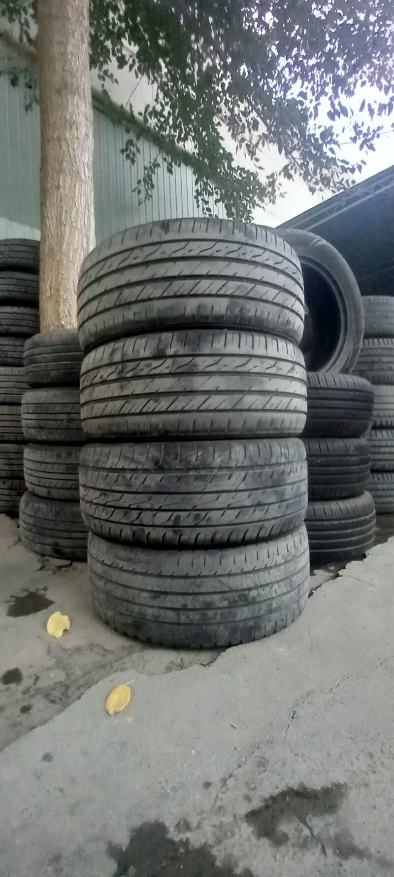 225-40-18 250 TMT - Bedew - img 1