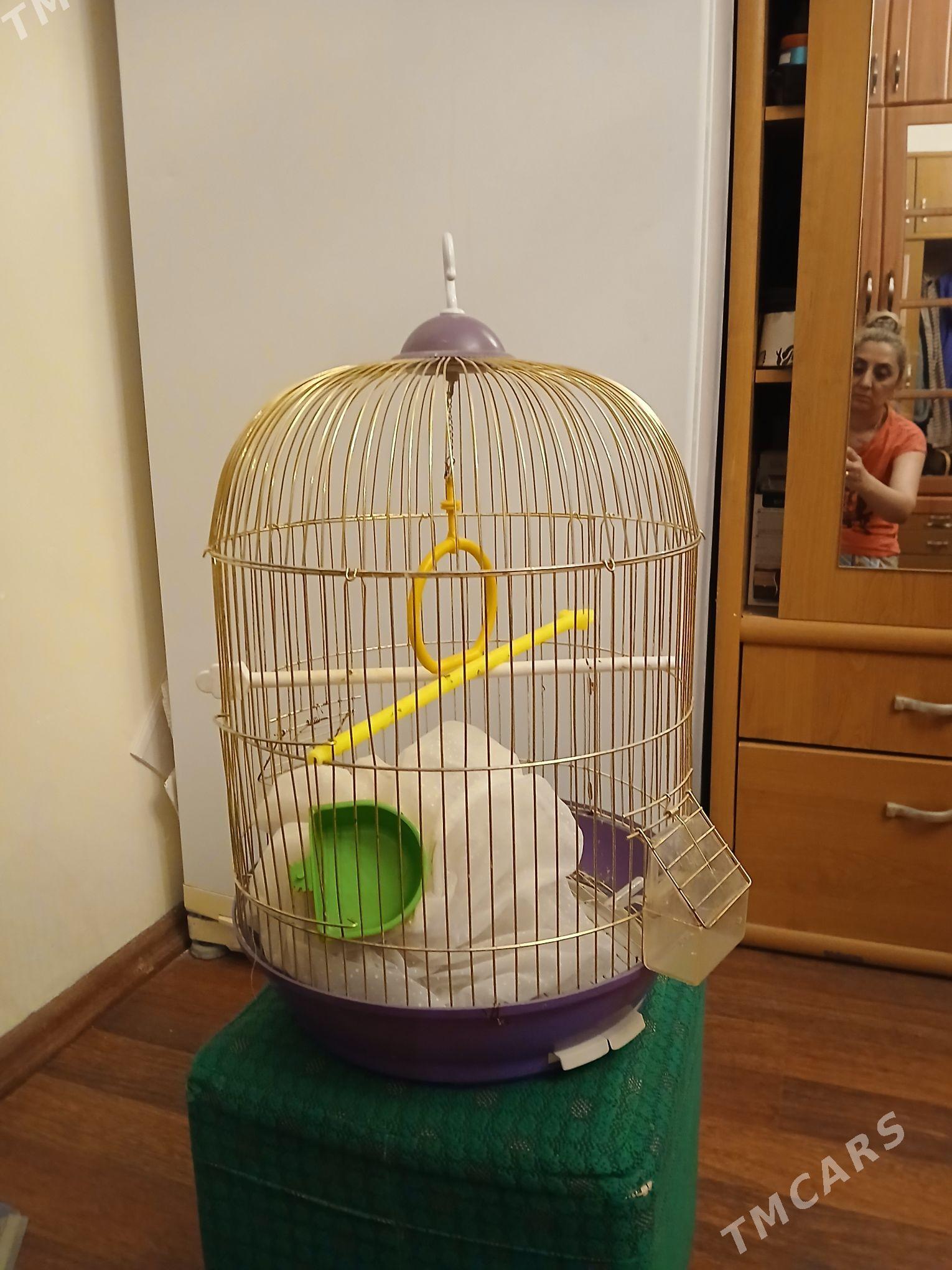 клетки для птиц - Parahat 7 - img 2