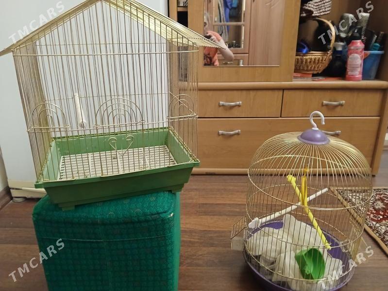 клетки для птиц - Parahat 7 - img 1
