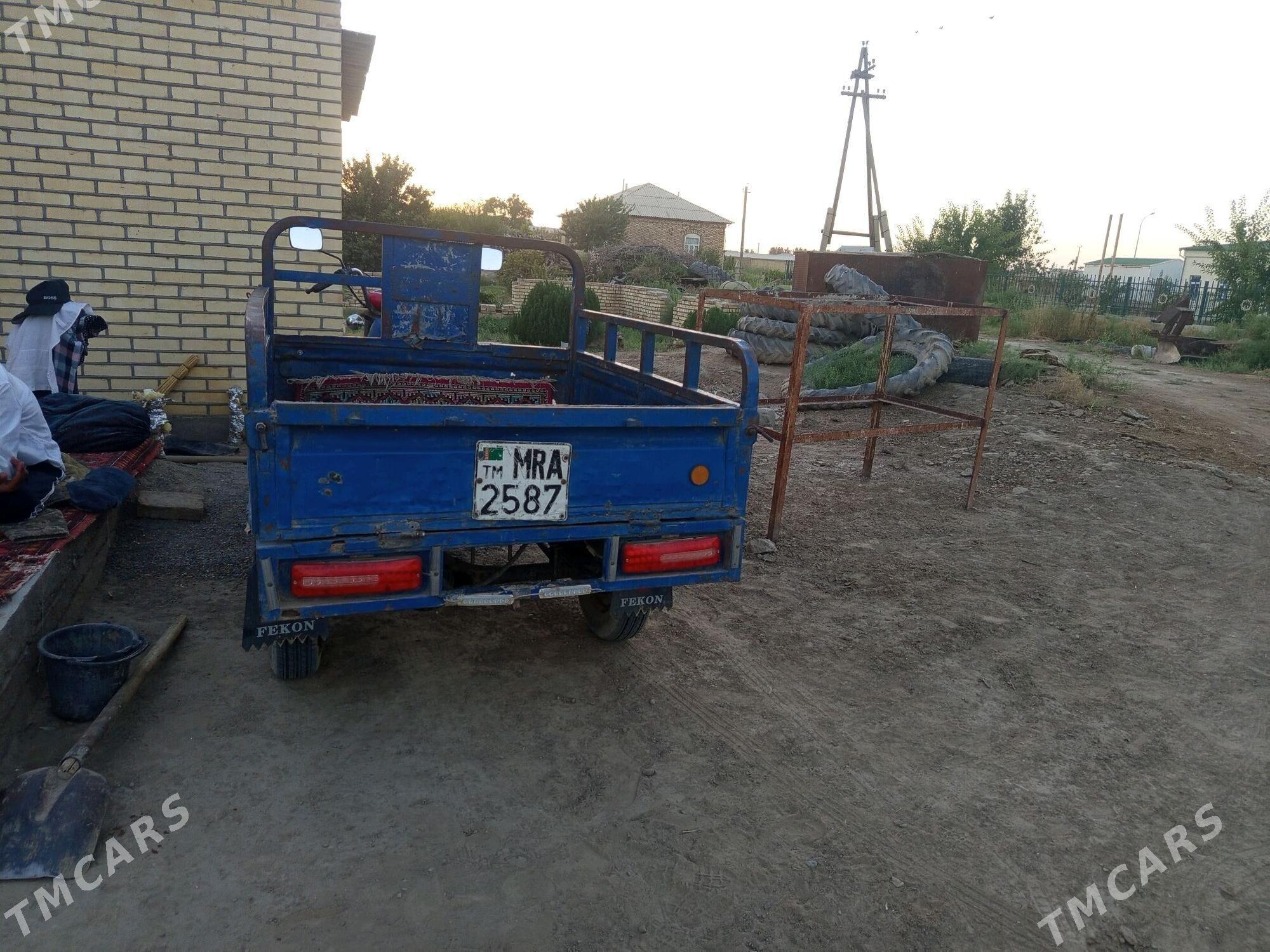 Fekon FK200-14G 2014 - 12 000 TMT - Sakarçäge - img 2