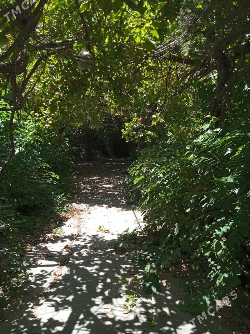 дом - Анев - img 3