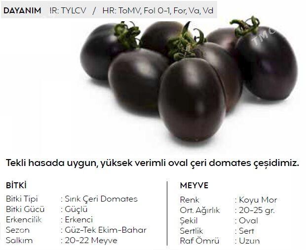 Çerri pomidor tohum görnüşleri - Ашхабад - img 4