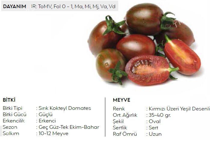 Çerri pomidor tohum görnüşleri - Ашхабад - img 6