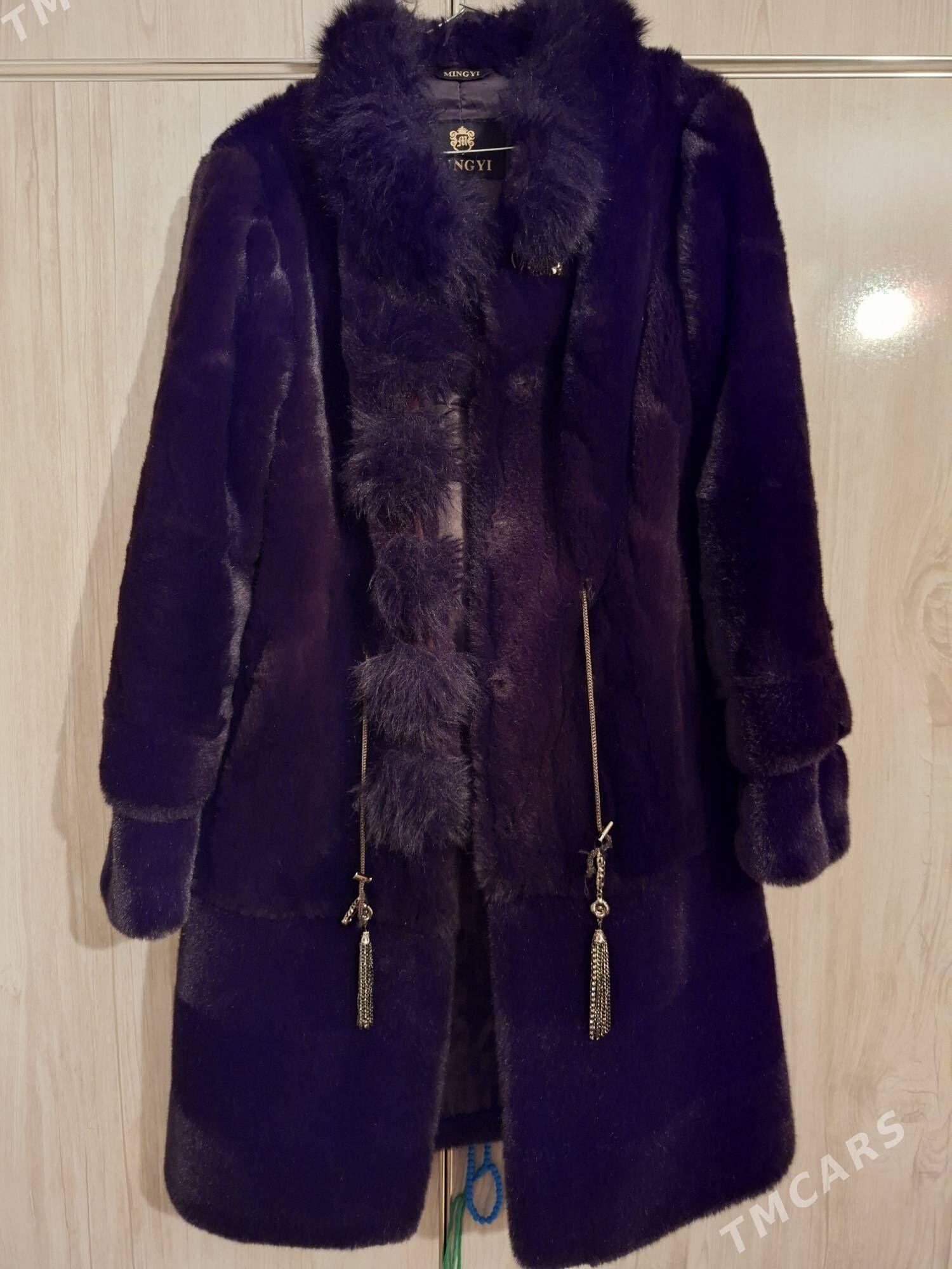 şuba - Änew - img 1