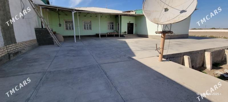 jay satlyk - Шабатский этрап - img 5