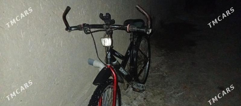 welosipet - Gurbansoltan Eje - img 2