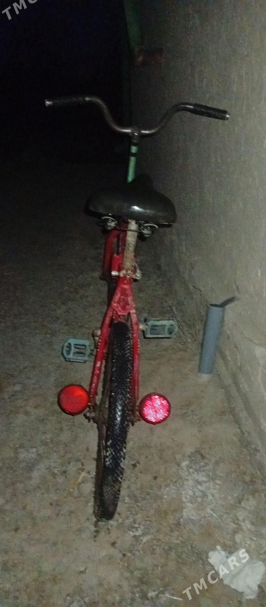 welosipet - Gurbansoltan Eje - img 2