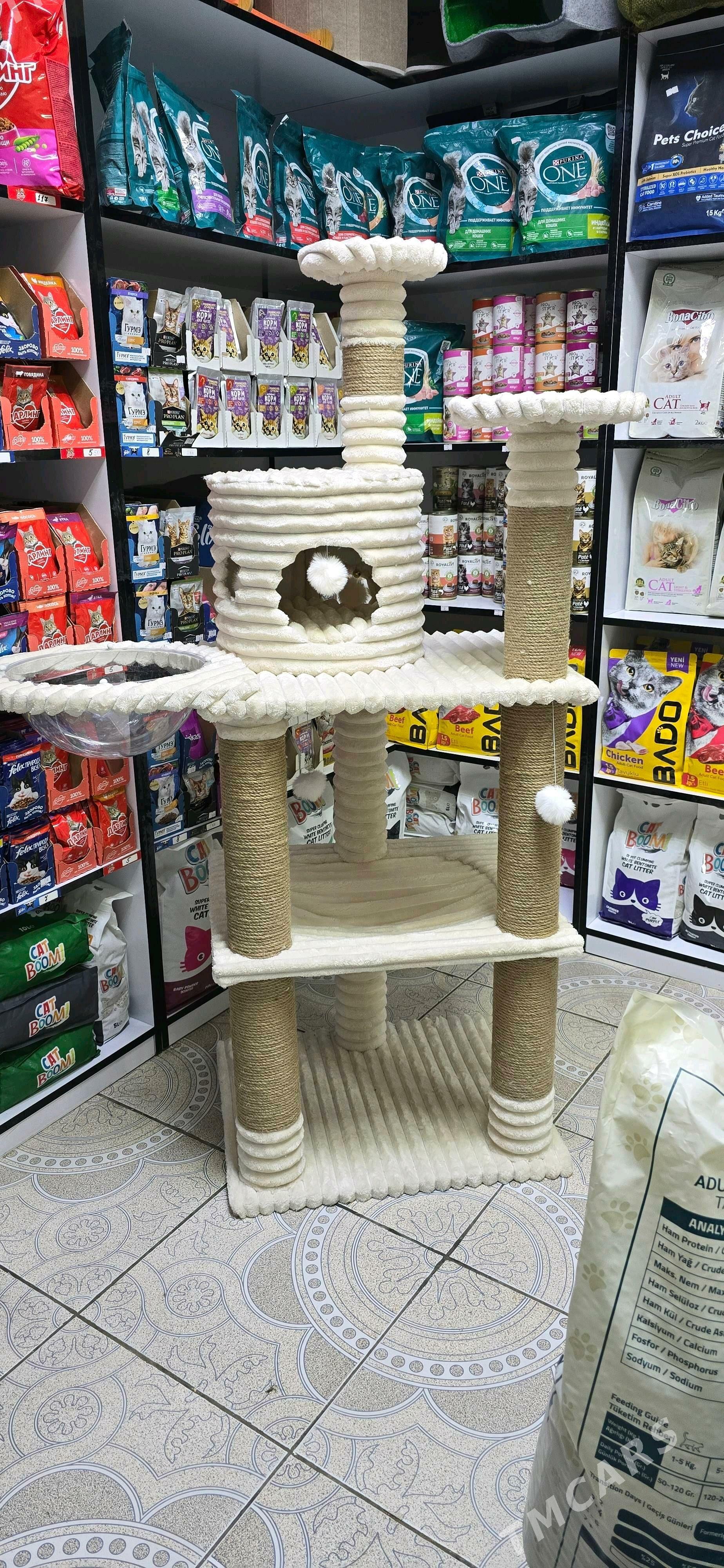 для кошек - Aşgabat - img 5