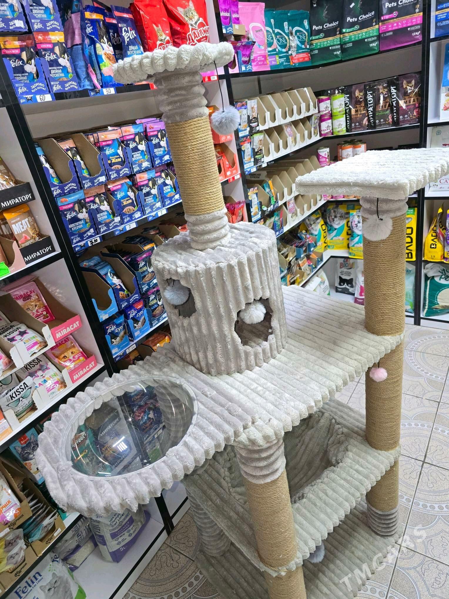 для кошек - Aşgabat - img 6