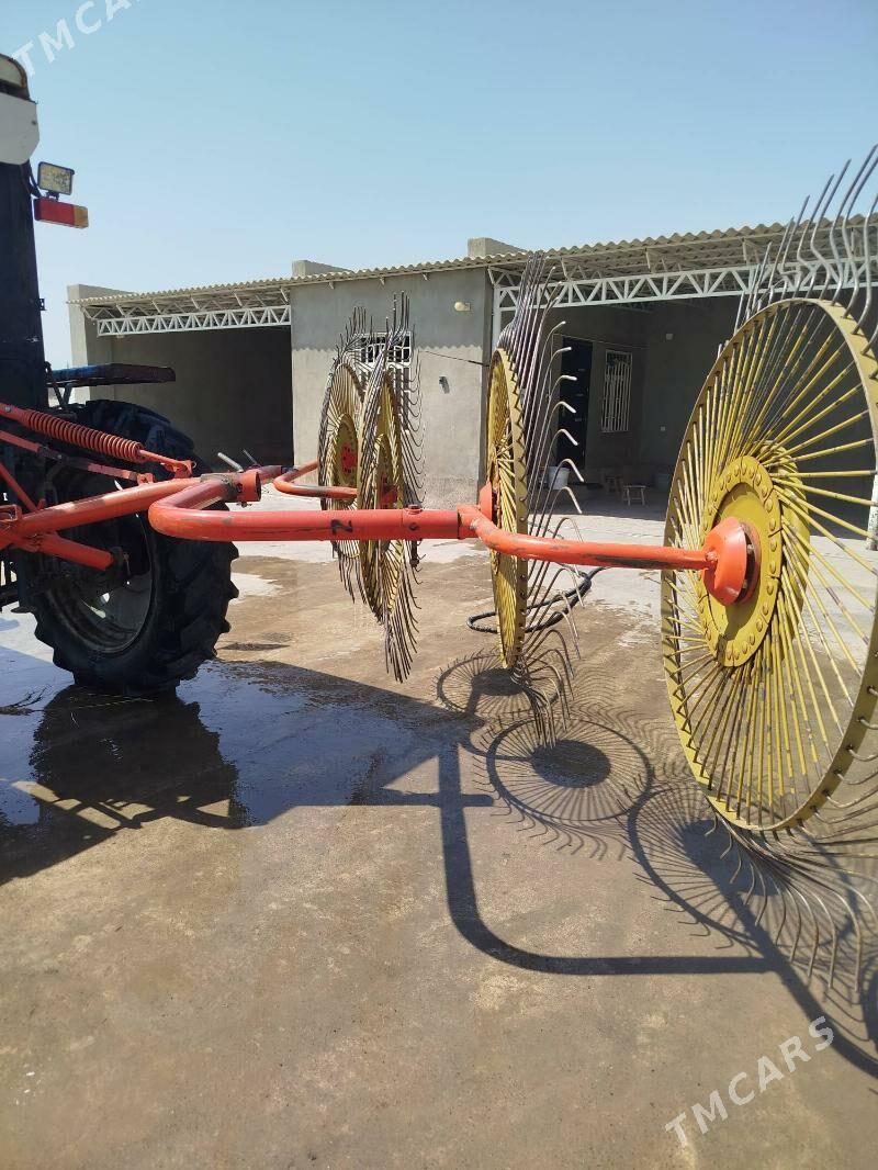 ot uyshryan yatyryn kip bogyan - Кака - img 9