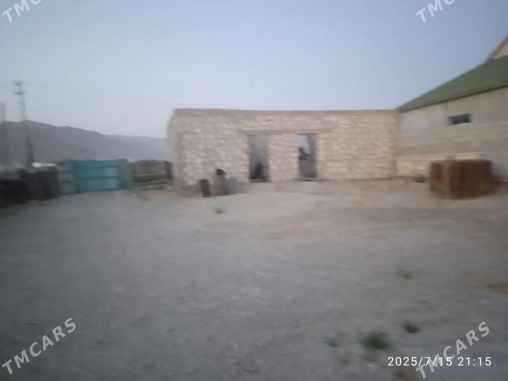 duzmergen 19 kw - Балканабат - img 1