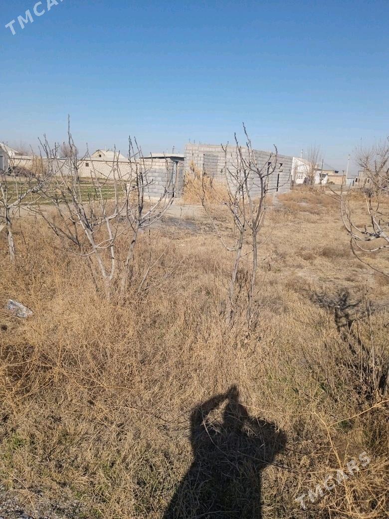 Mellek jay - Гёкдепе - img 4