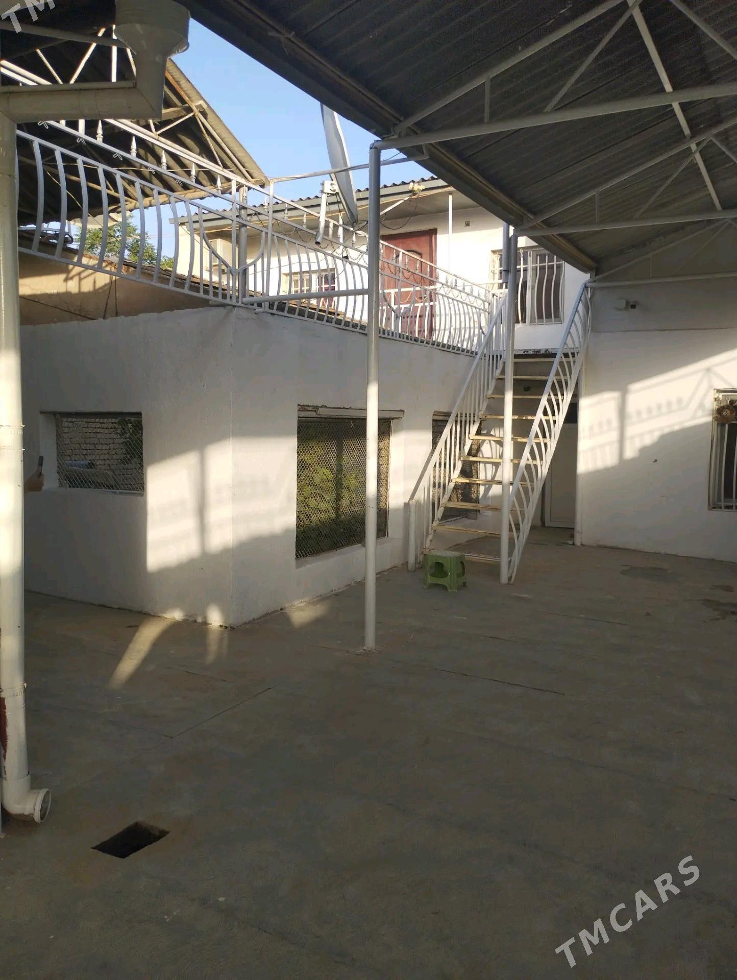 SATLYK JAÝ - Änew - img 2