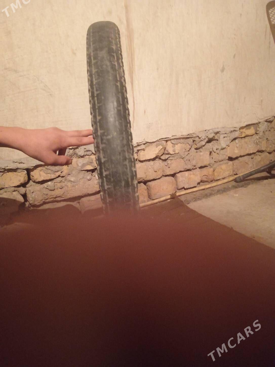 Wela mator - Daşoguz - img 2