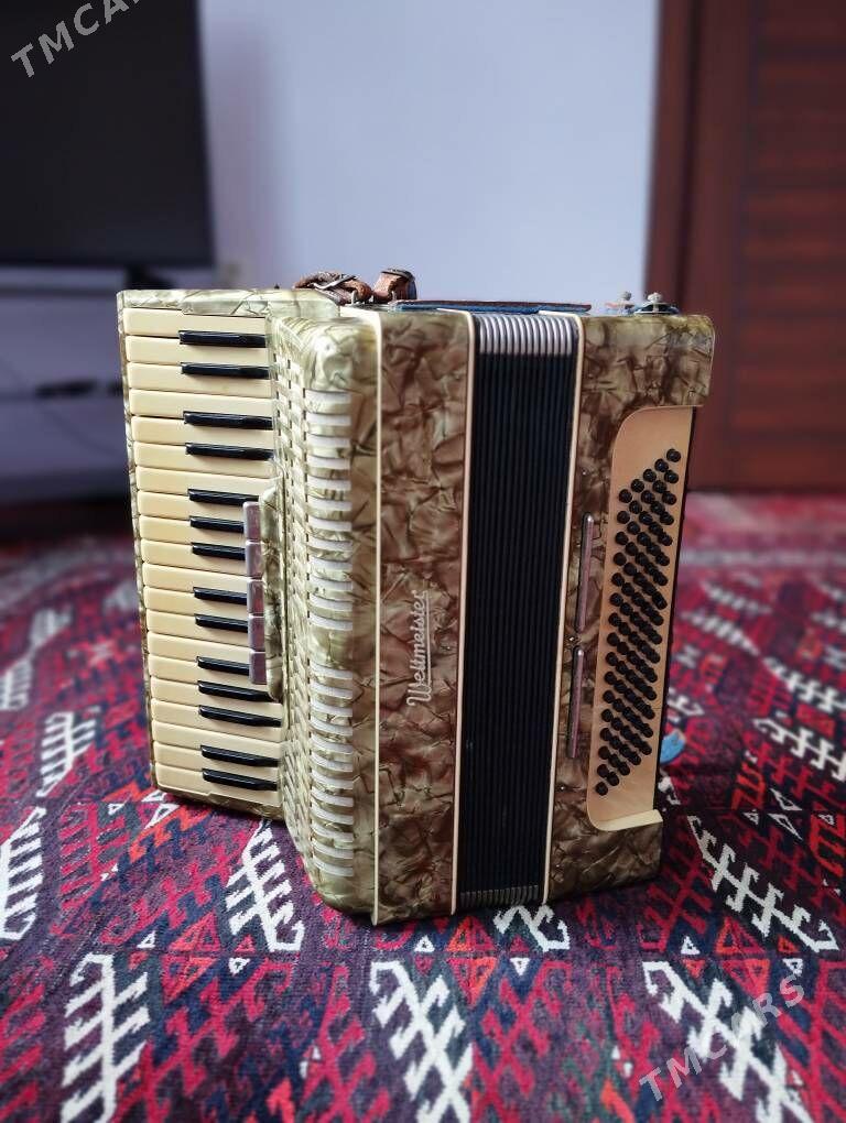 Akardion - Balkanabat - img 3