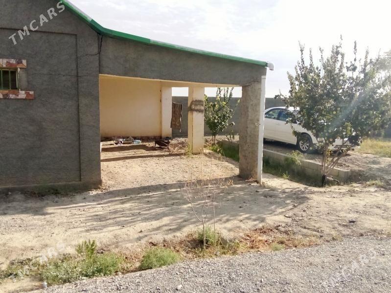 satlyk daca - Бахарден - img 2