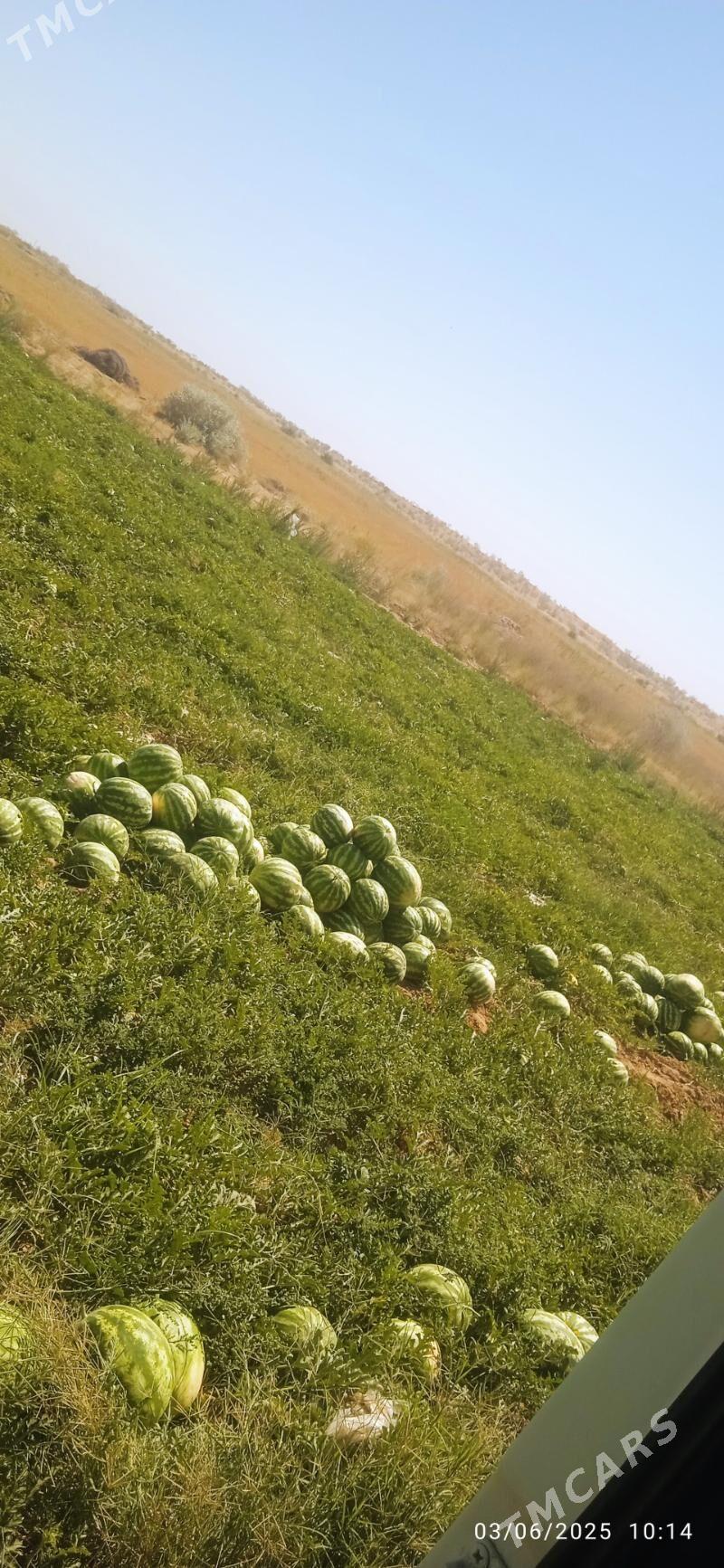 Kamaz 5410 1985 - 180 000 TMT - Дянев - img 3
