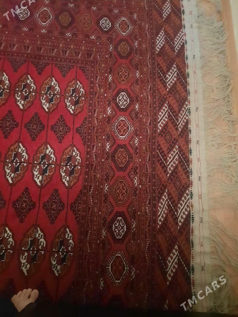 El haly - Podwoýski köç. (Bitarap Türkmenistan şaýoly) - img 2