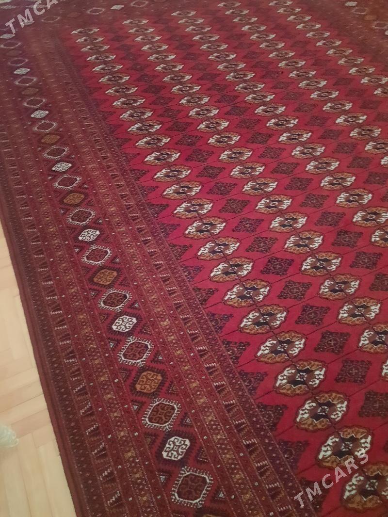 El haly - Podwoýski köç. (Bitarap Türkmenistan şaýoly) - img 3