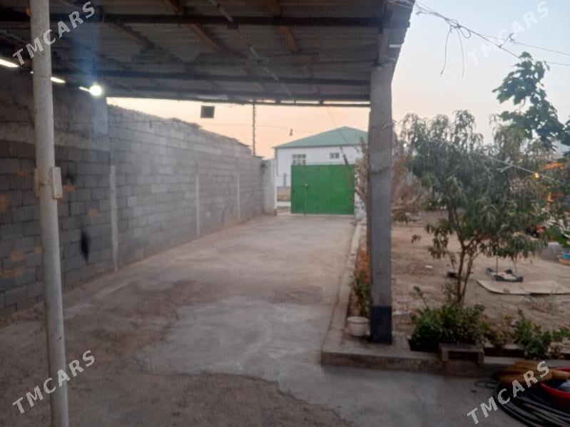 babarap jay - Gökdepe - img 1