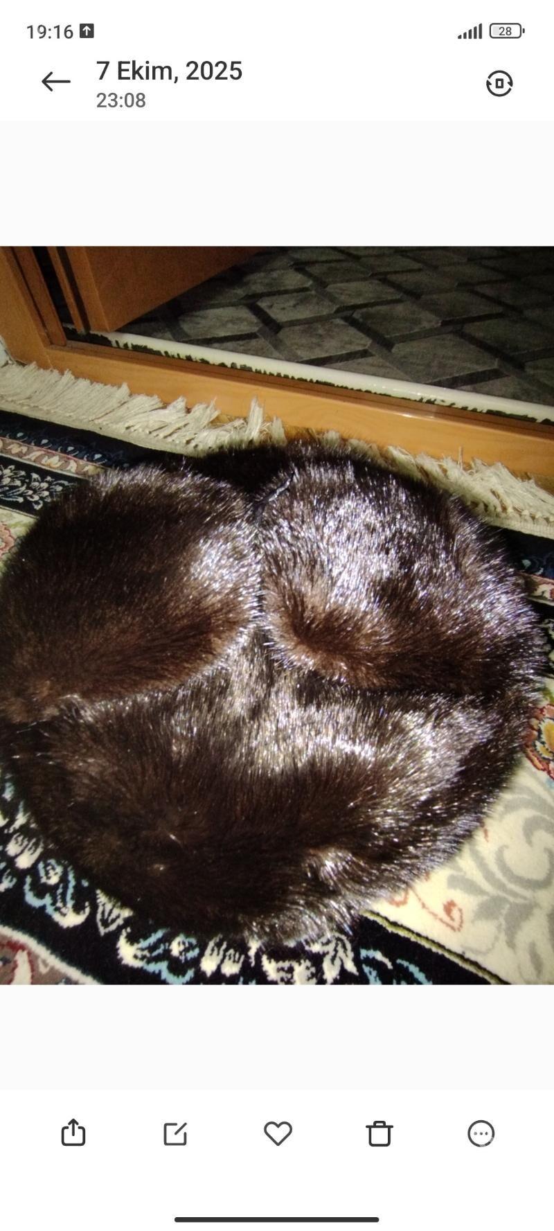 Telpek - Parahat 4 - img 1