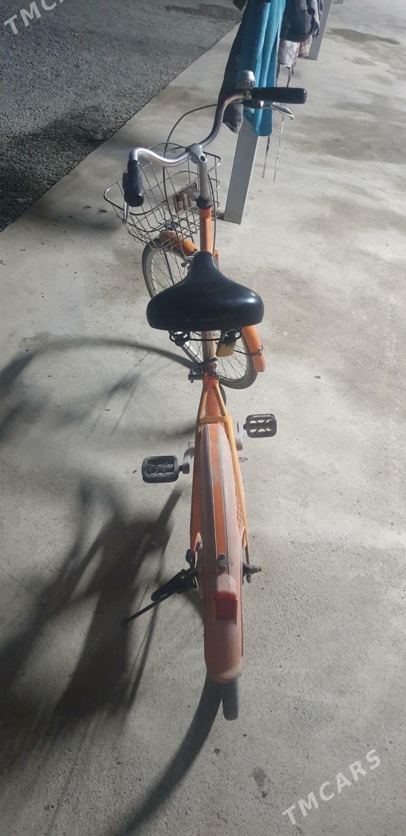 tigir - Аркадаг - img 3