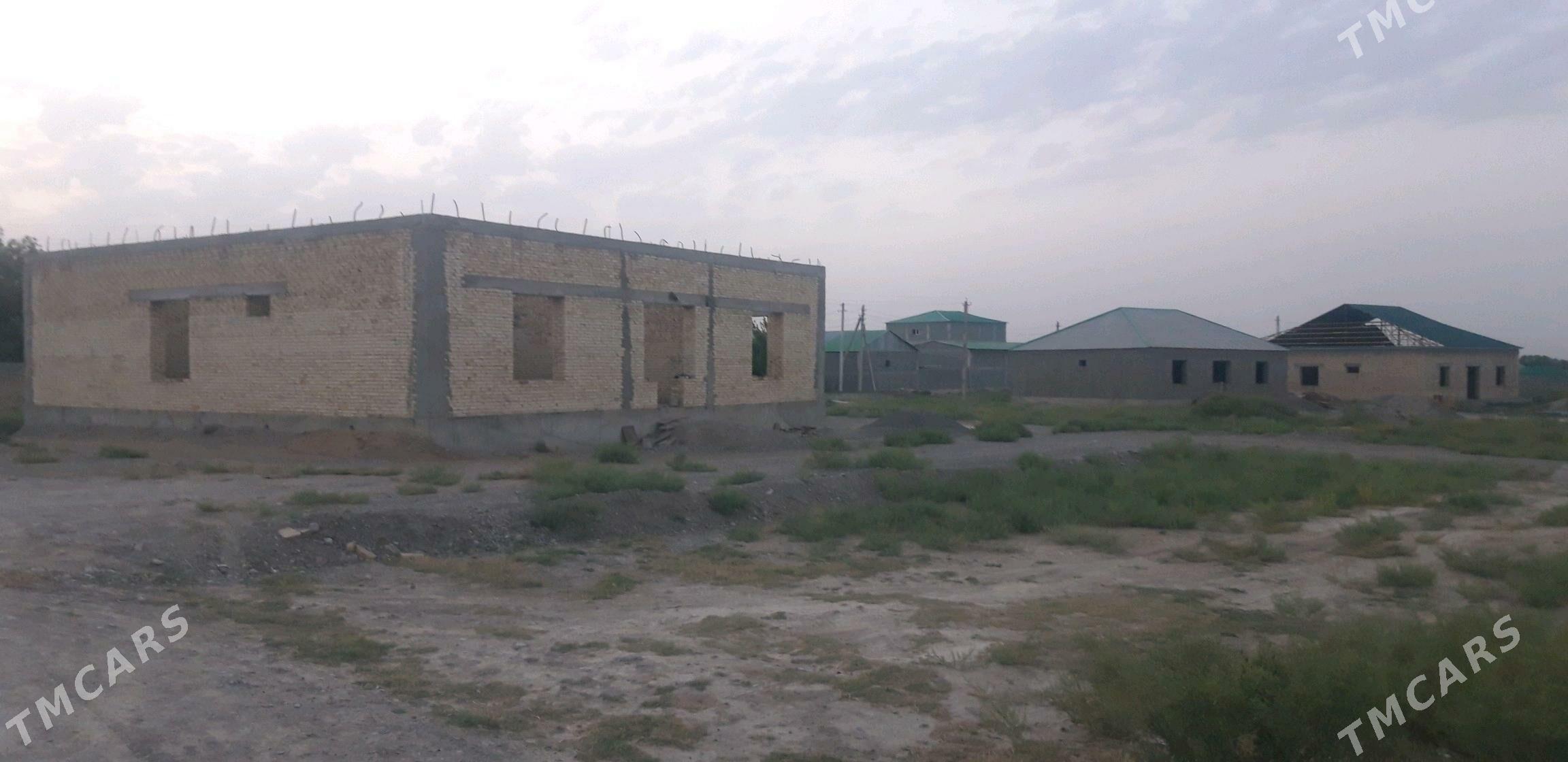 Gokdepe kelejar - Гёкдепе - img 2