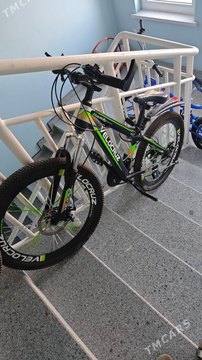 VELOKRUZ TIGIR - Gurtly - img 3