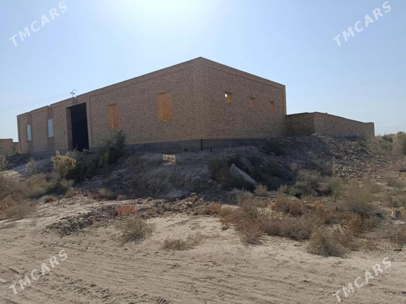 satlyk jaý - Çärjew - img 2