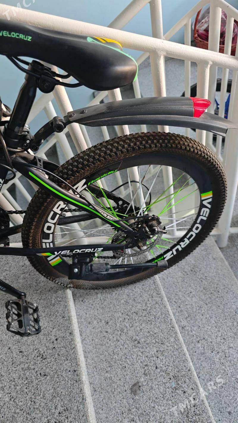 VELOKRUZ TIGIR - Gurtly - img 6