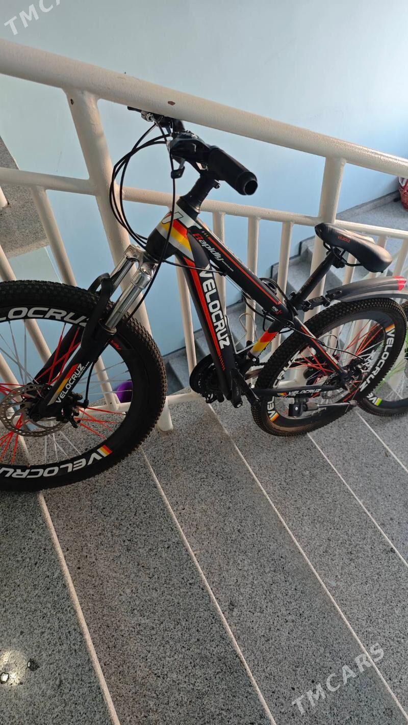 VELOKRUZ TIGIR - Gurtly - img 8