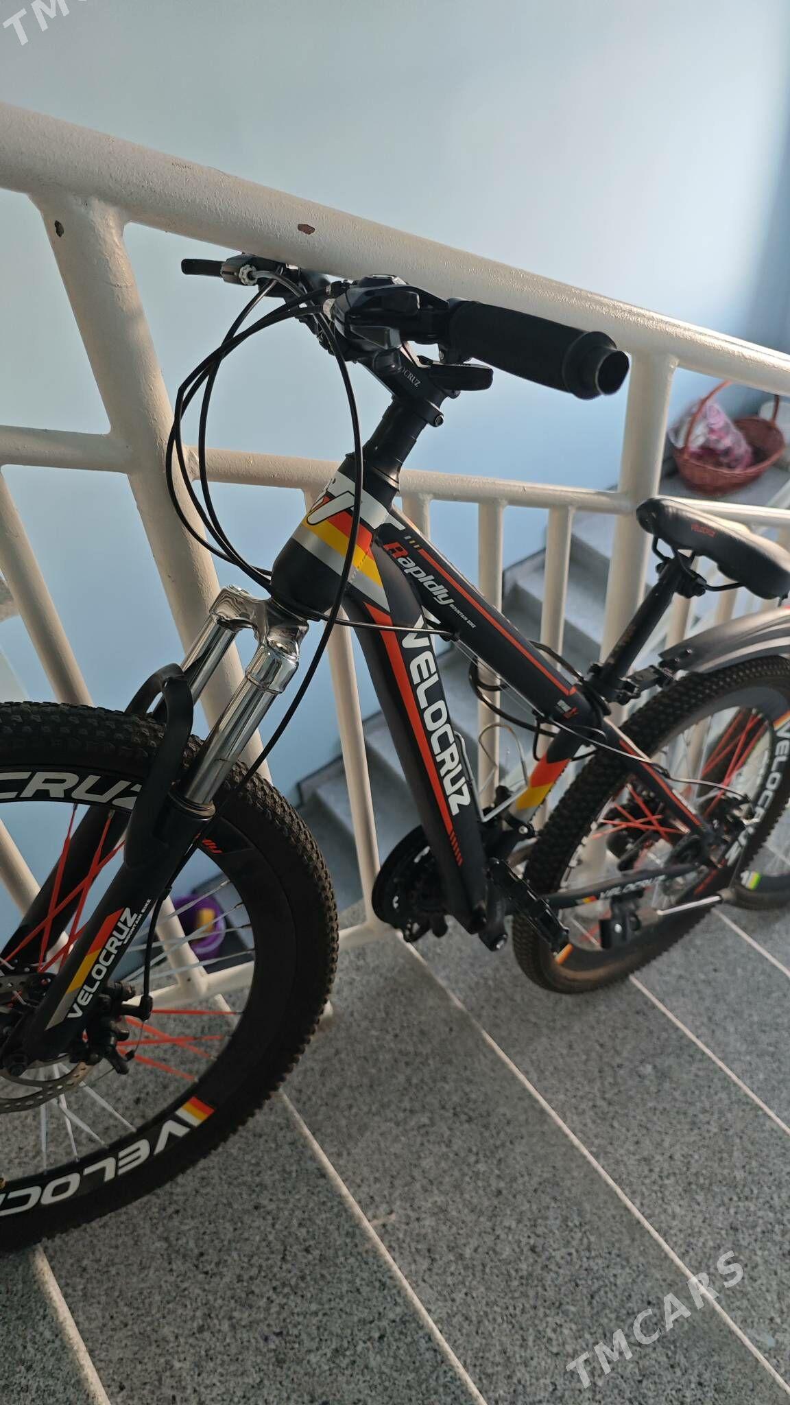 VELOKRUZ TIGIR - Gurtly - img 5