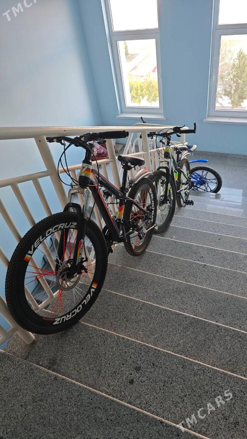 VELOKRUZ TIGIR - Gurtly - img 1