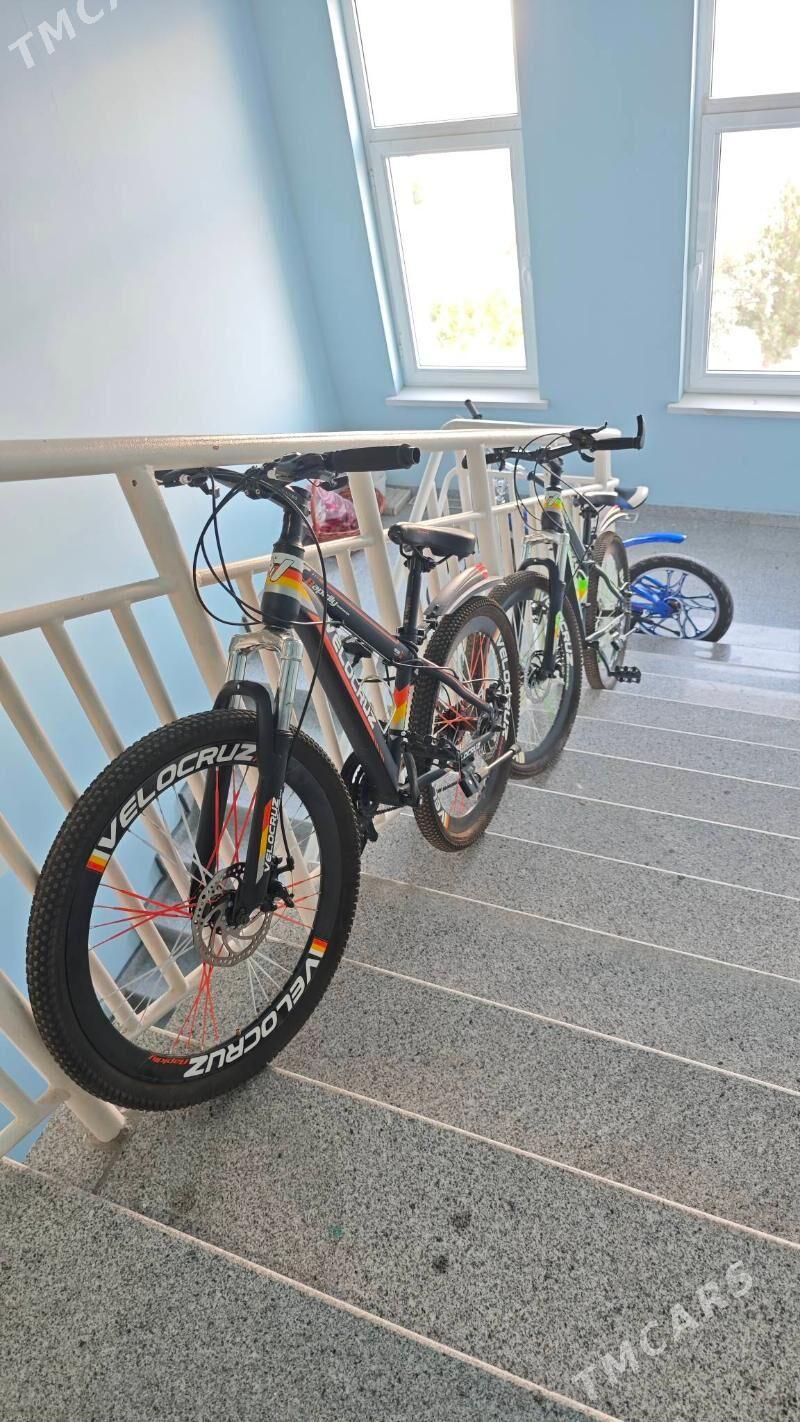 VELOKRUZ TIGIR - Gurtly - img 2