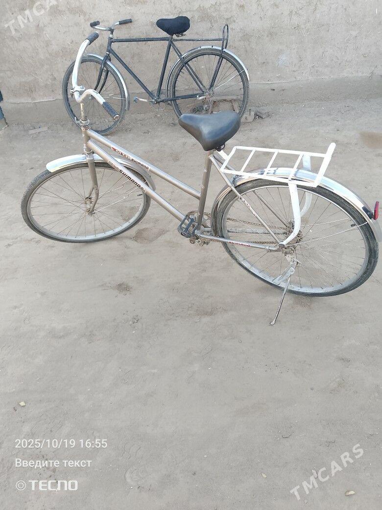 tigir - Шабатский этрап - img 4