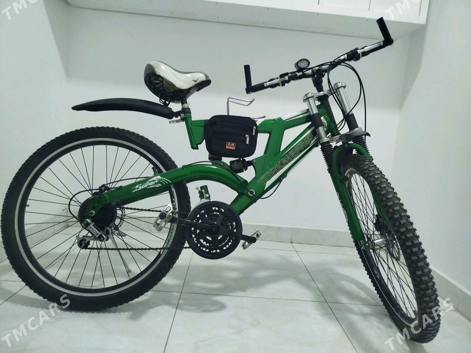 Tigr - Аркадаг - img 3