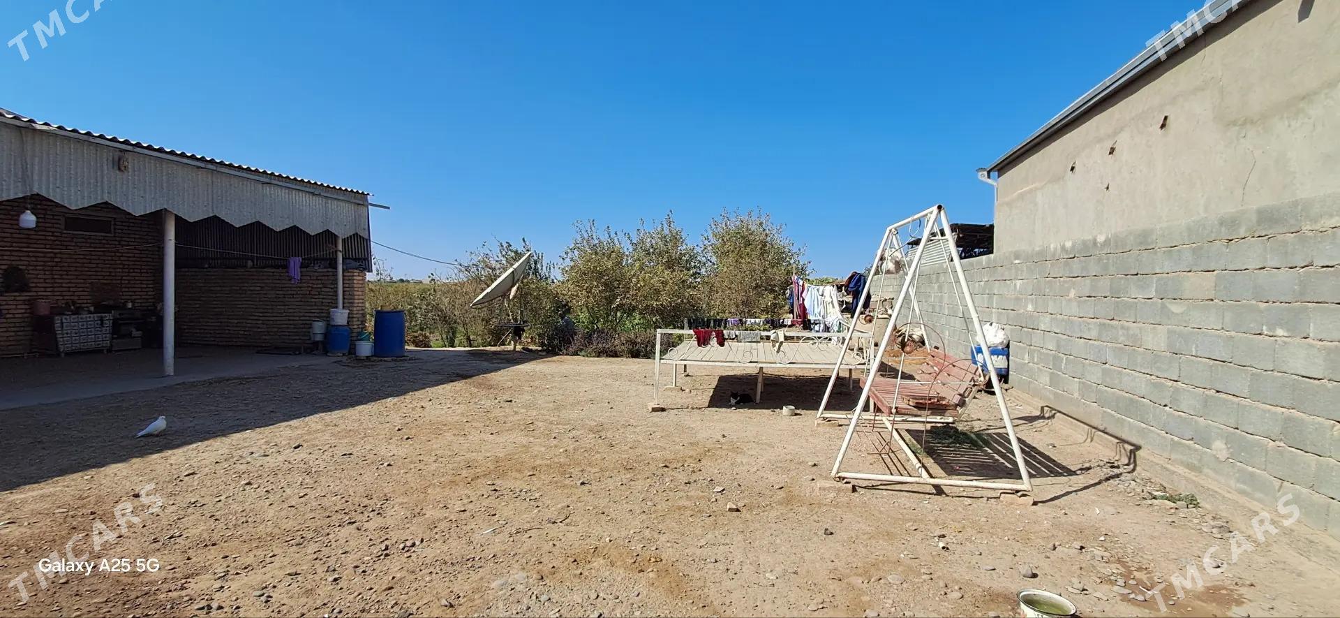 GUSSAGLY SATLYK JAY - Ёлётен - img 9