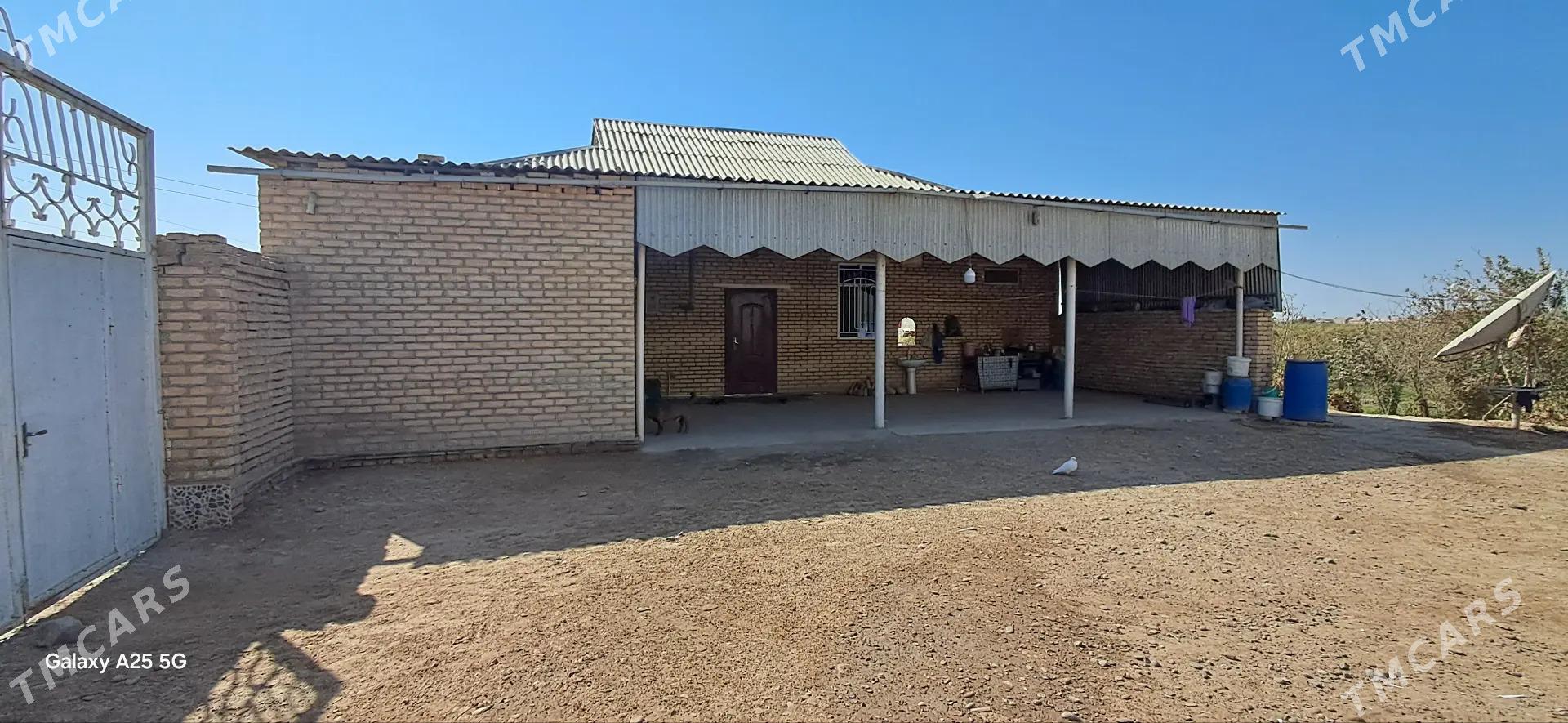 GUSSAGLY SATLYK JAY - Ёлётен - img 8