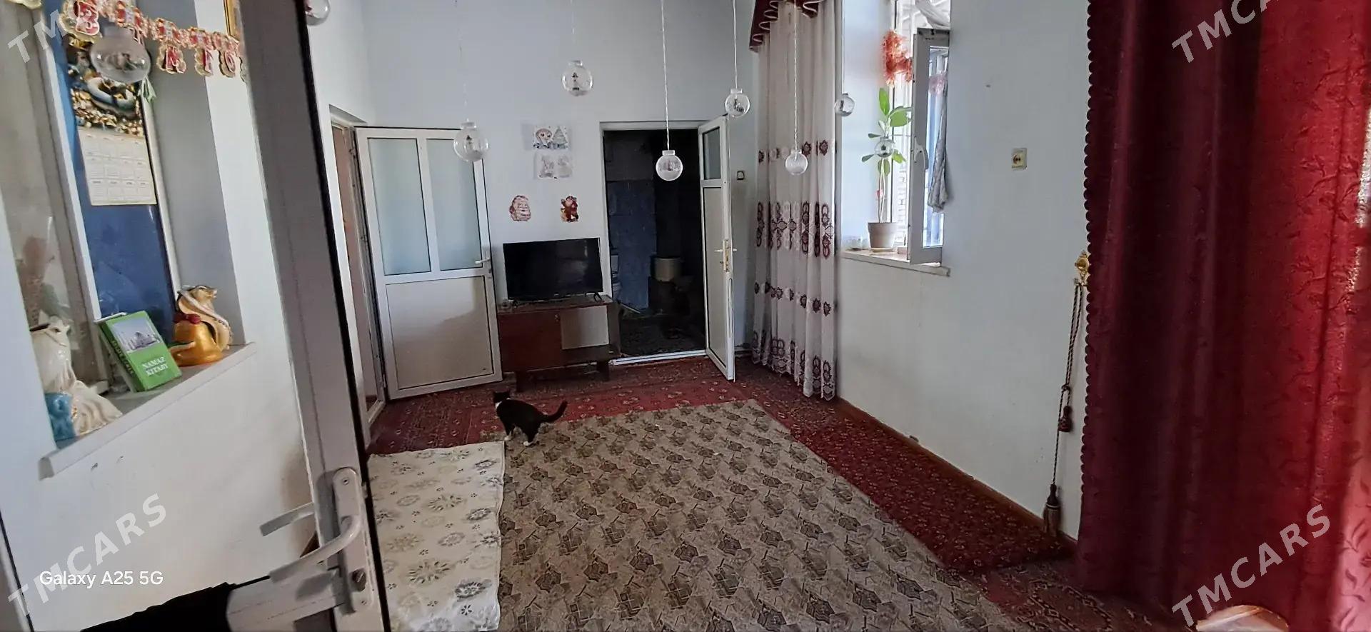 GUSSAGLY SATLYK JAY - Ёлётен - img 6