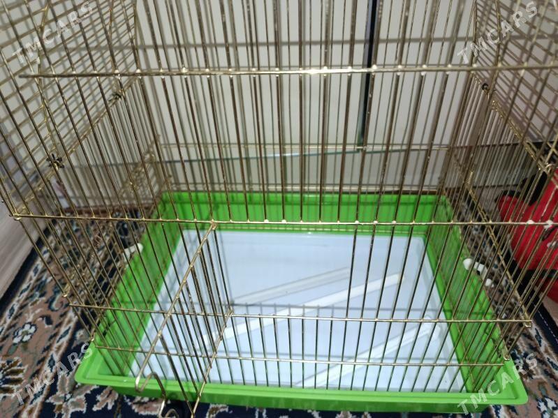 Guš setka/kletka - Howdan "A" - img 4