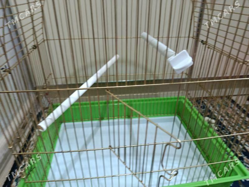 Guš setka/kletka - Howdan "A" - img 3